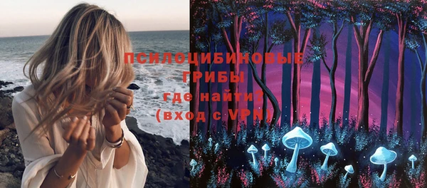 метадон Белокуриха