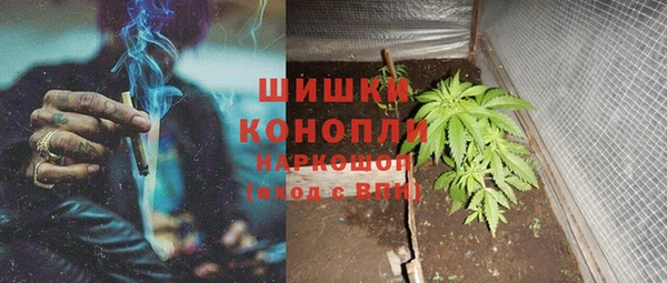 гашик Балахна