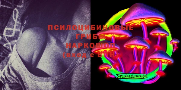 гашик Балахна