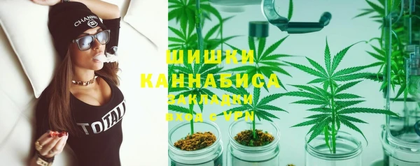 гашик Балахна
