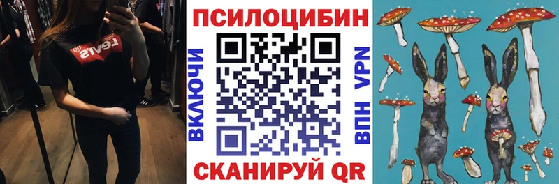 МЕГА как войти  Мглин  Галлюциногенные грибы GOLDEN TEACHER 